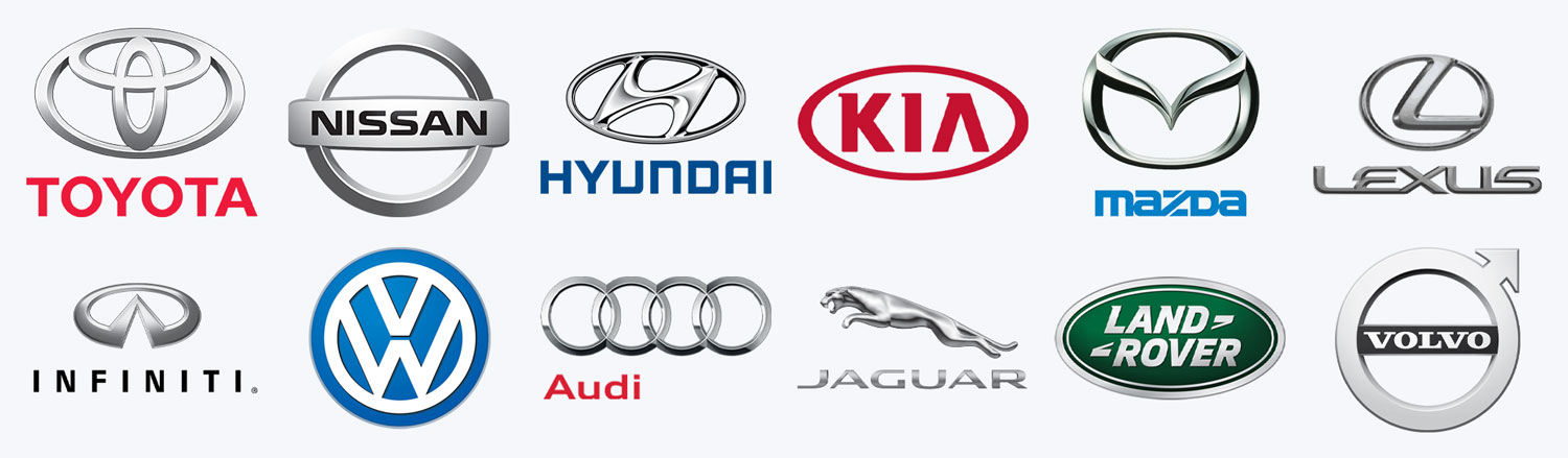 OEM Logo Layout